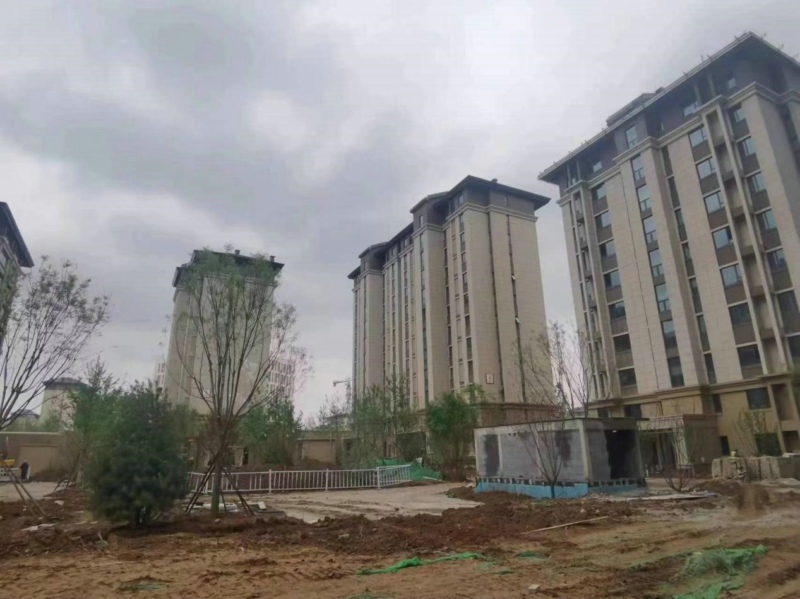 1686125445438232.jpg 04.jpg