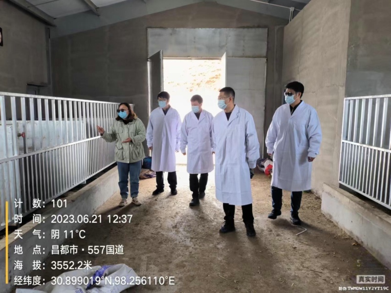 1689069227113586.jpg 06.jpg