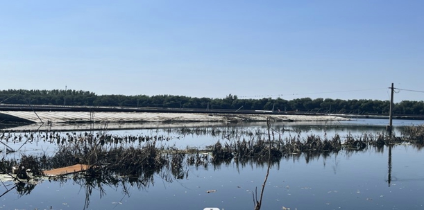 1699428117485046.jpg 01.jpg