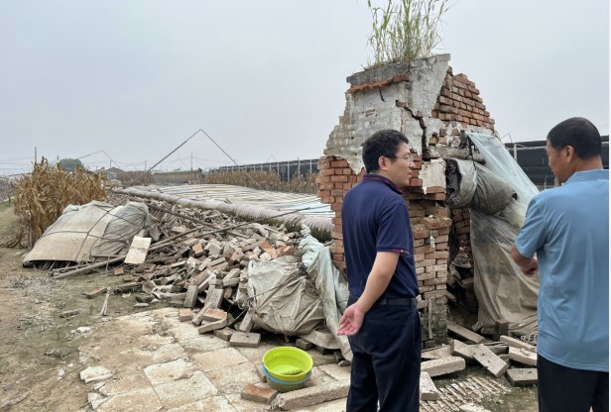 1699428151917053.jpg 05.jpg